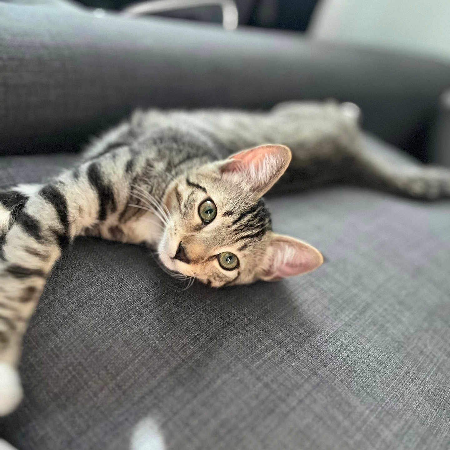 Kyo