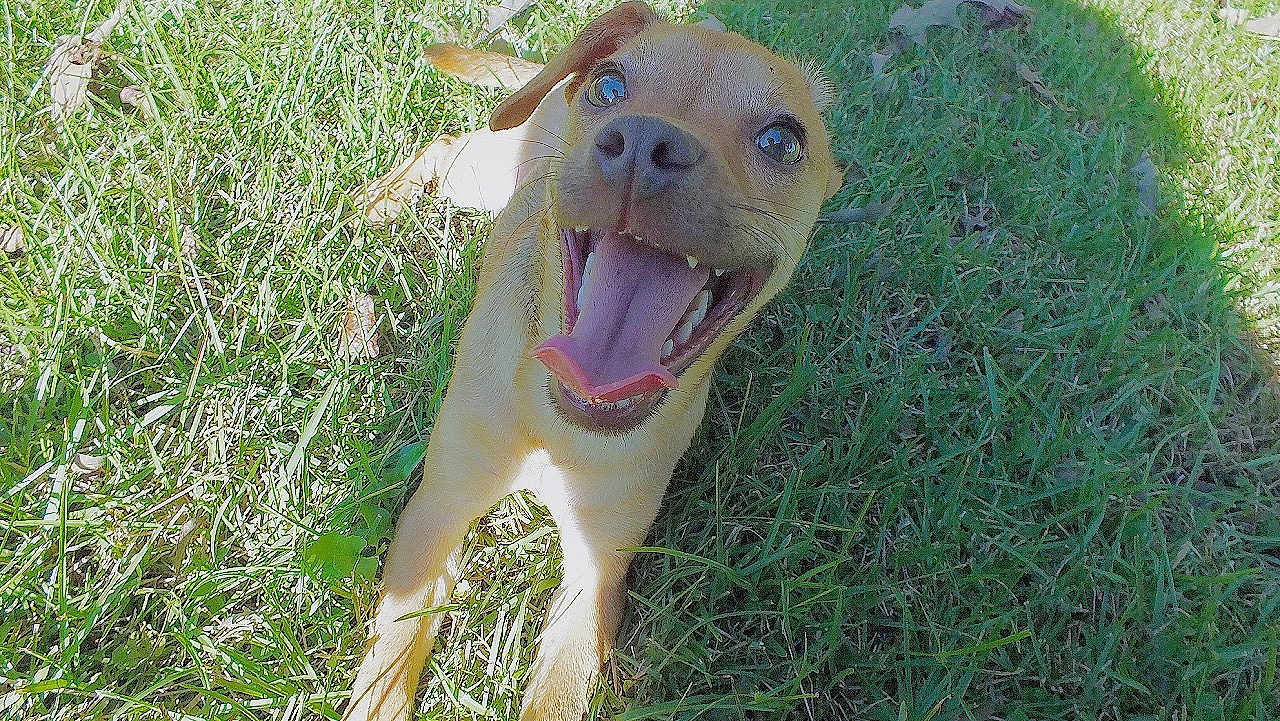 Riley