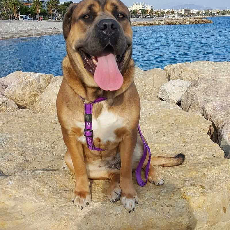 Maïka