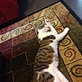 cat, tabby, grooming, lying_down, indoor, rug, patterned_rug, paw, furniture, couch, floor, striped, white_fur, brown_fur, relaxed, pet, household, cozy, home, animal