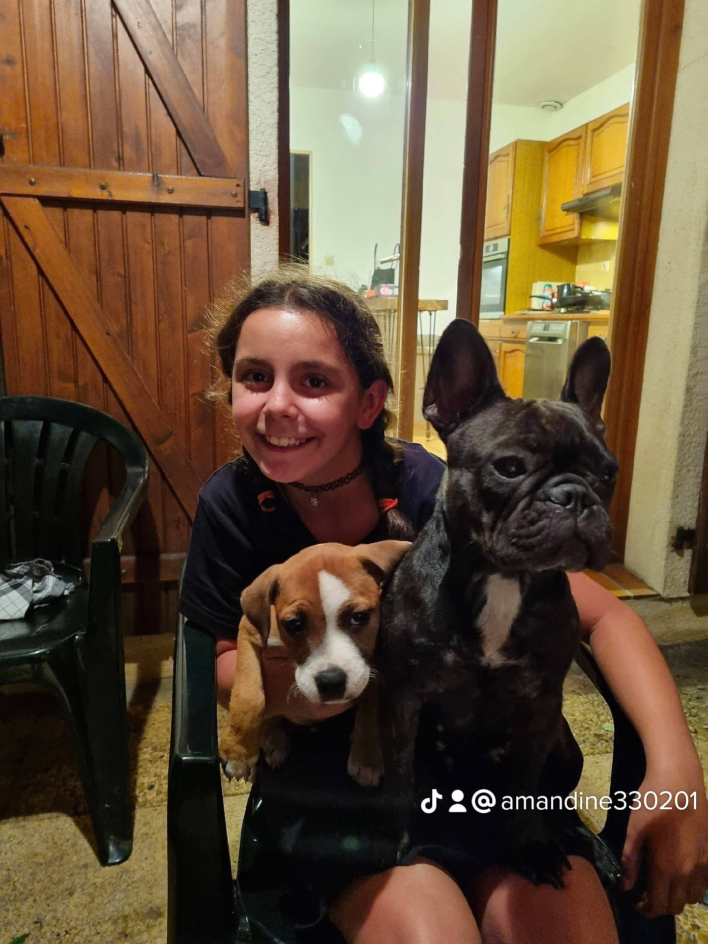 Stich a rejoint le concours — aidez-le/la à gagner de superbes lots ! carnivore, chair, companion_dog, dog, dog_breed, ear, fawn, flooring, fun, fur, guard_dog, happy, puppy_love, selfie, smile, snout, sporting_group, thigh, toy_dog, working_animal