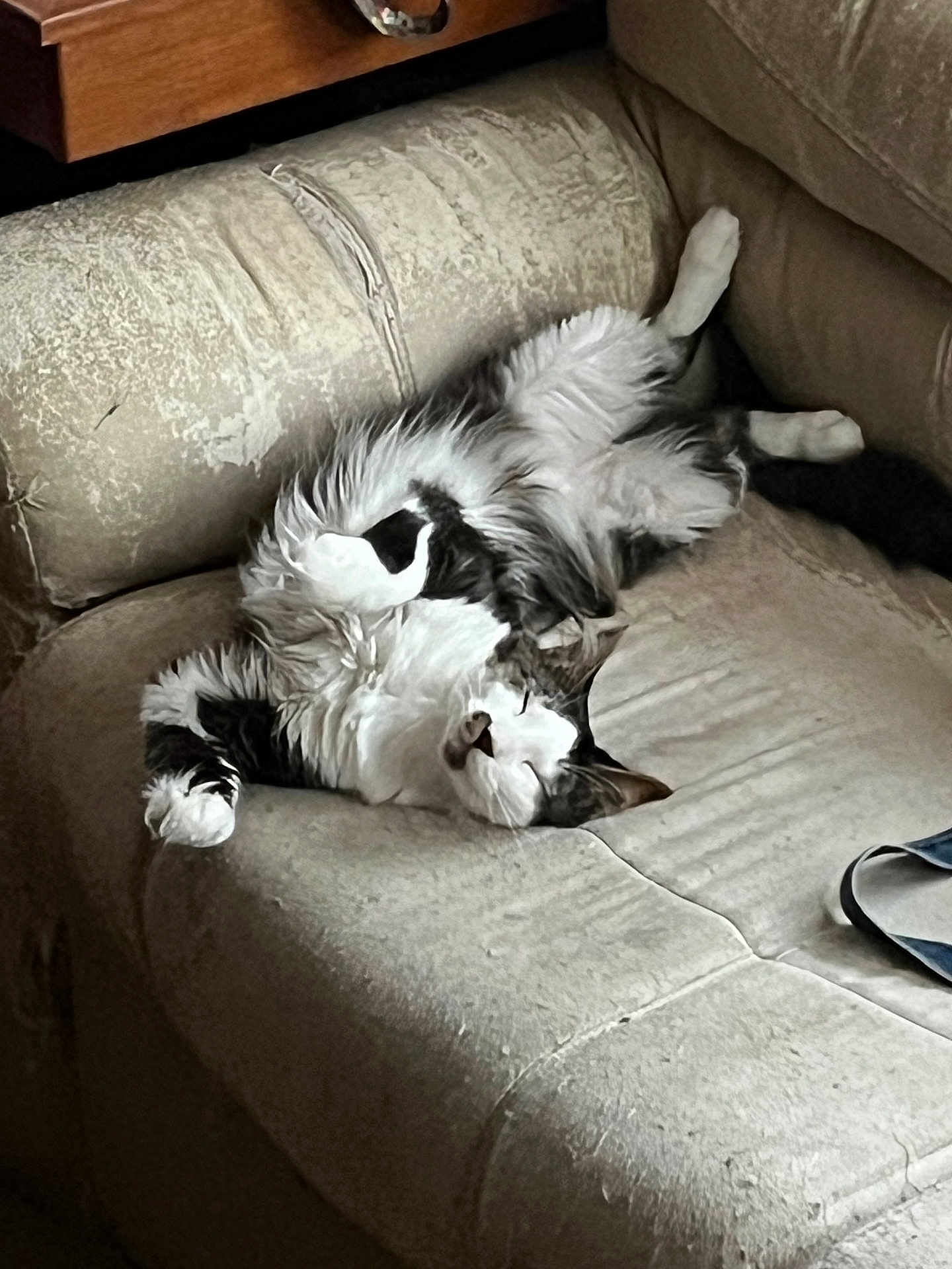 Clarence