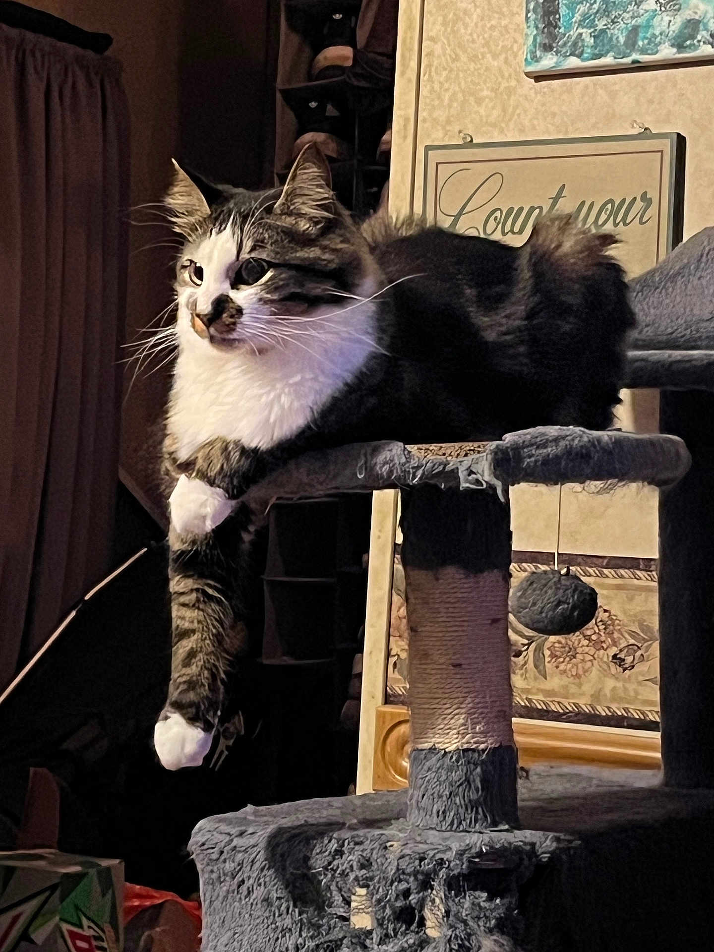 Clyde