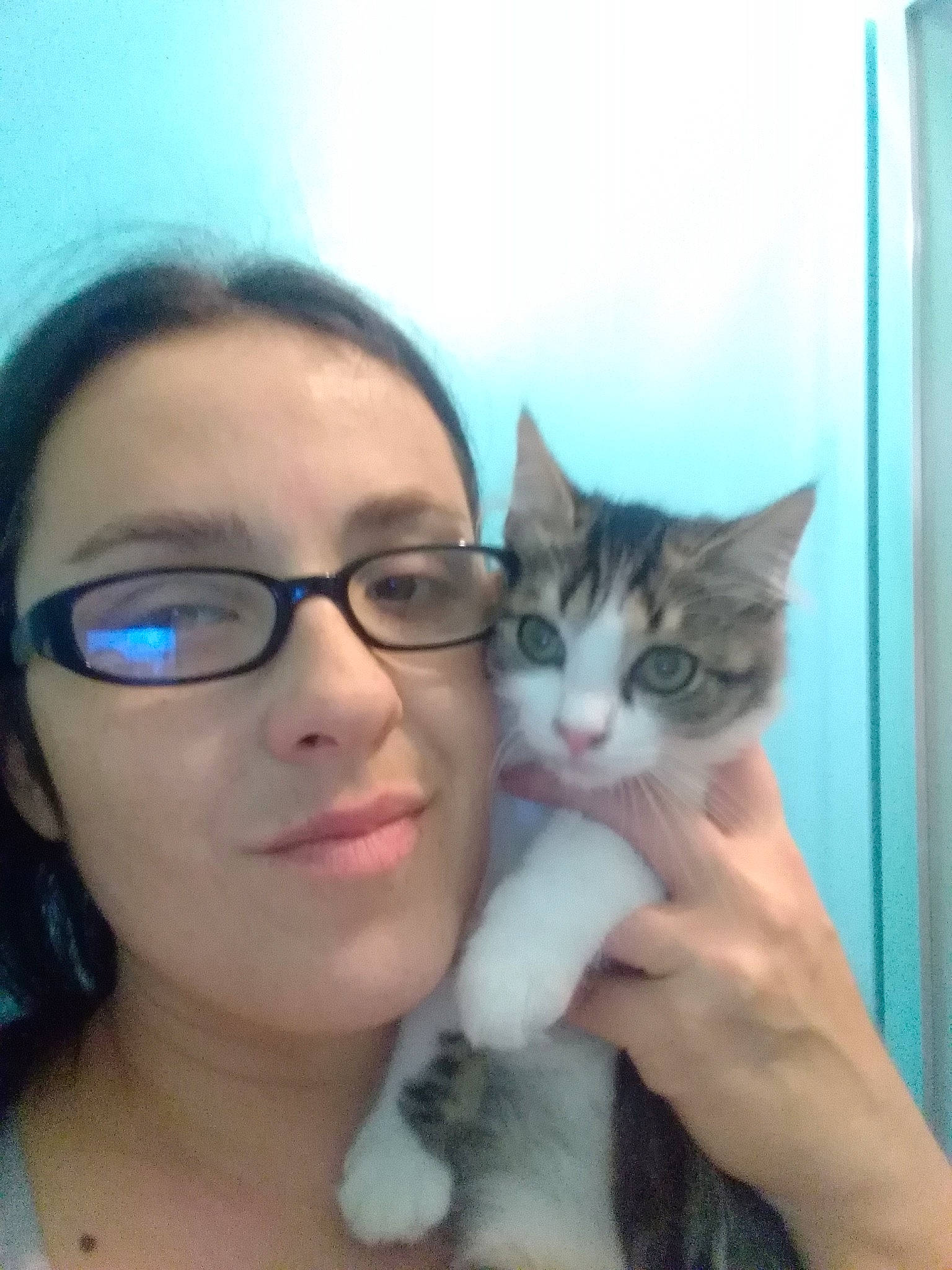 Tiny a rejoint le concours — aidez-le/la à gagner de superbes lots ! aegean_cat, carnivoran, cat, cat_like_mammal, domestic_short_haired_cat, eye, face, girl, glasses, kitten, person, selfie, small_to_medium_sized_cats, snout, vision_care, whiskers