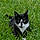 Mylo
