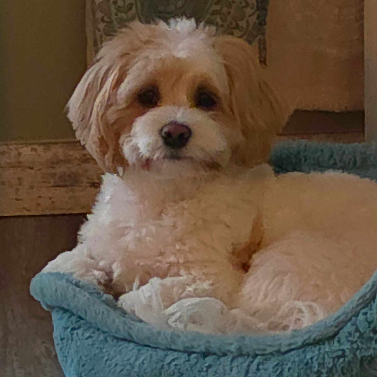 Charlie
