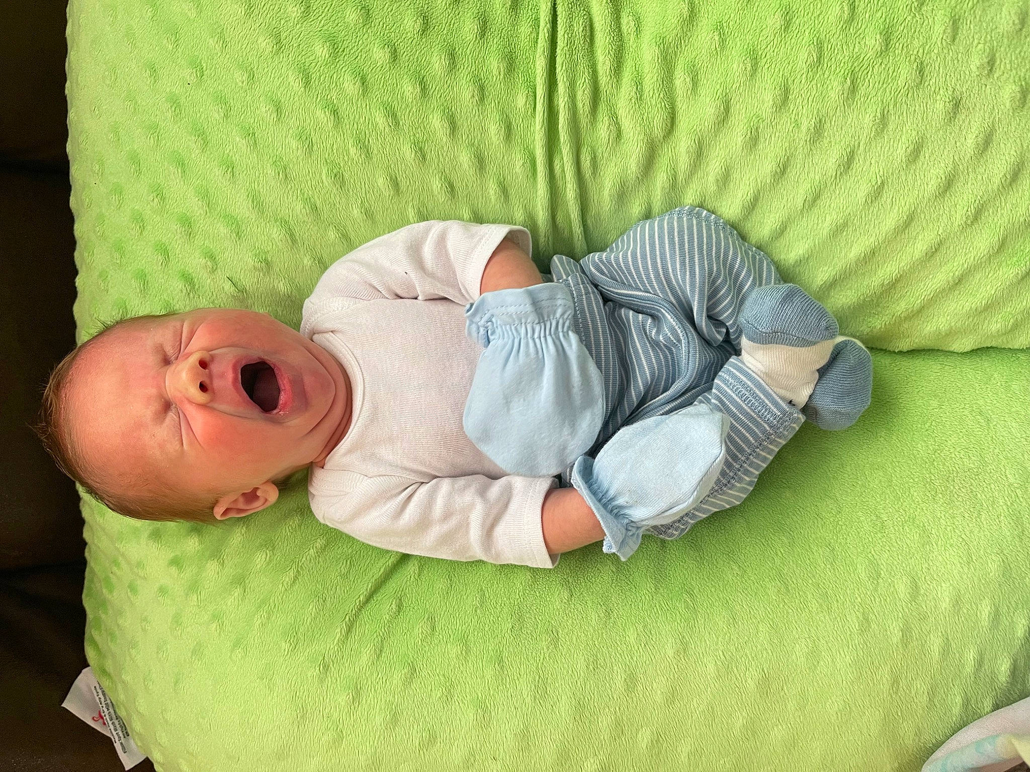 Ryder is registered to the contest to win money with this photo: baby, baby_products, baby_safety, baby_sleeping, baby_toddler_clothing, bed, bedding, bedtime, child, comfort, grass, infant_bed, linens, nap, person, room, sleep, textile, toddler
