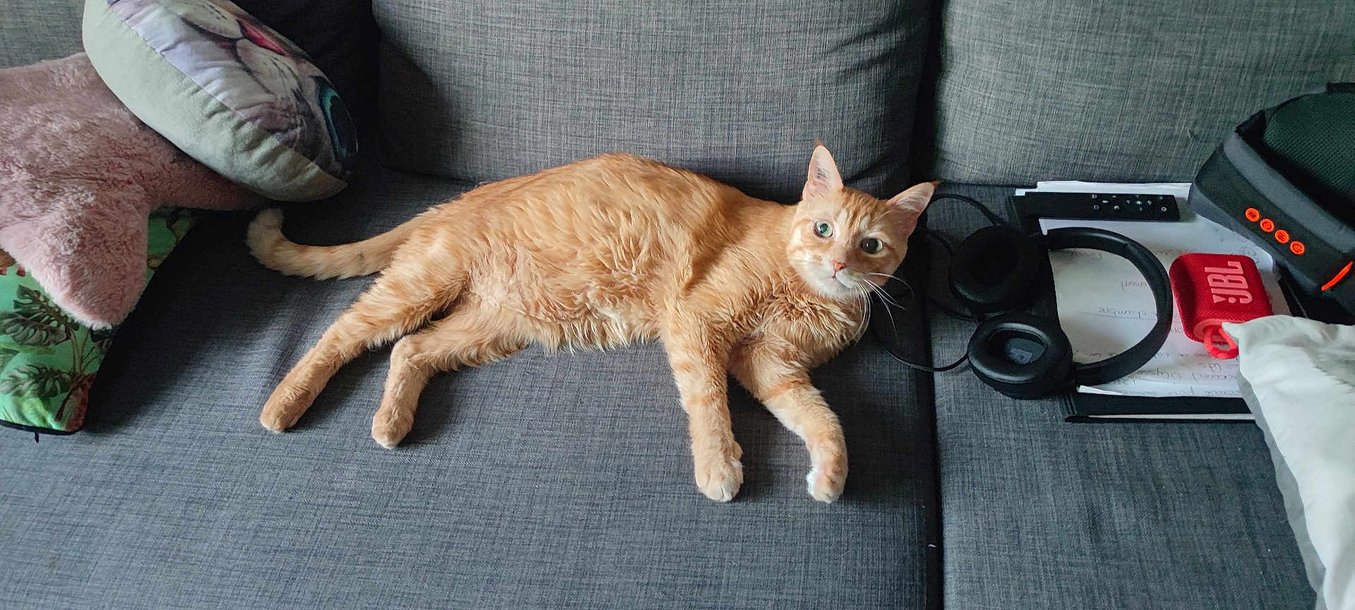Tigrou