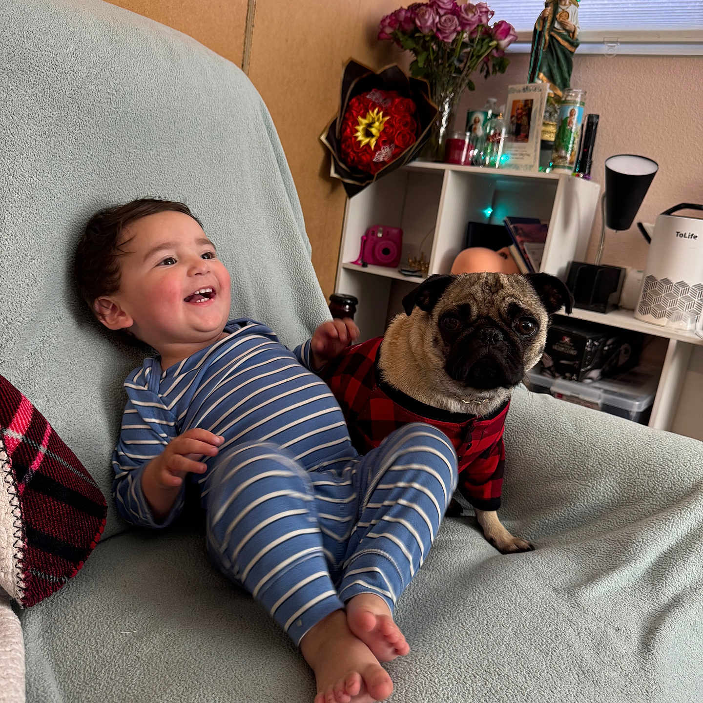 Erick joined the competition — help win amazing prizes! barefoot, blanket, child, couch, decor, dog, flowers, happy, home, indoor, lamp, pet_clothing, pug, relaxing, shelf, smiling, statue, striped_pajamas, toddler, toy_camera