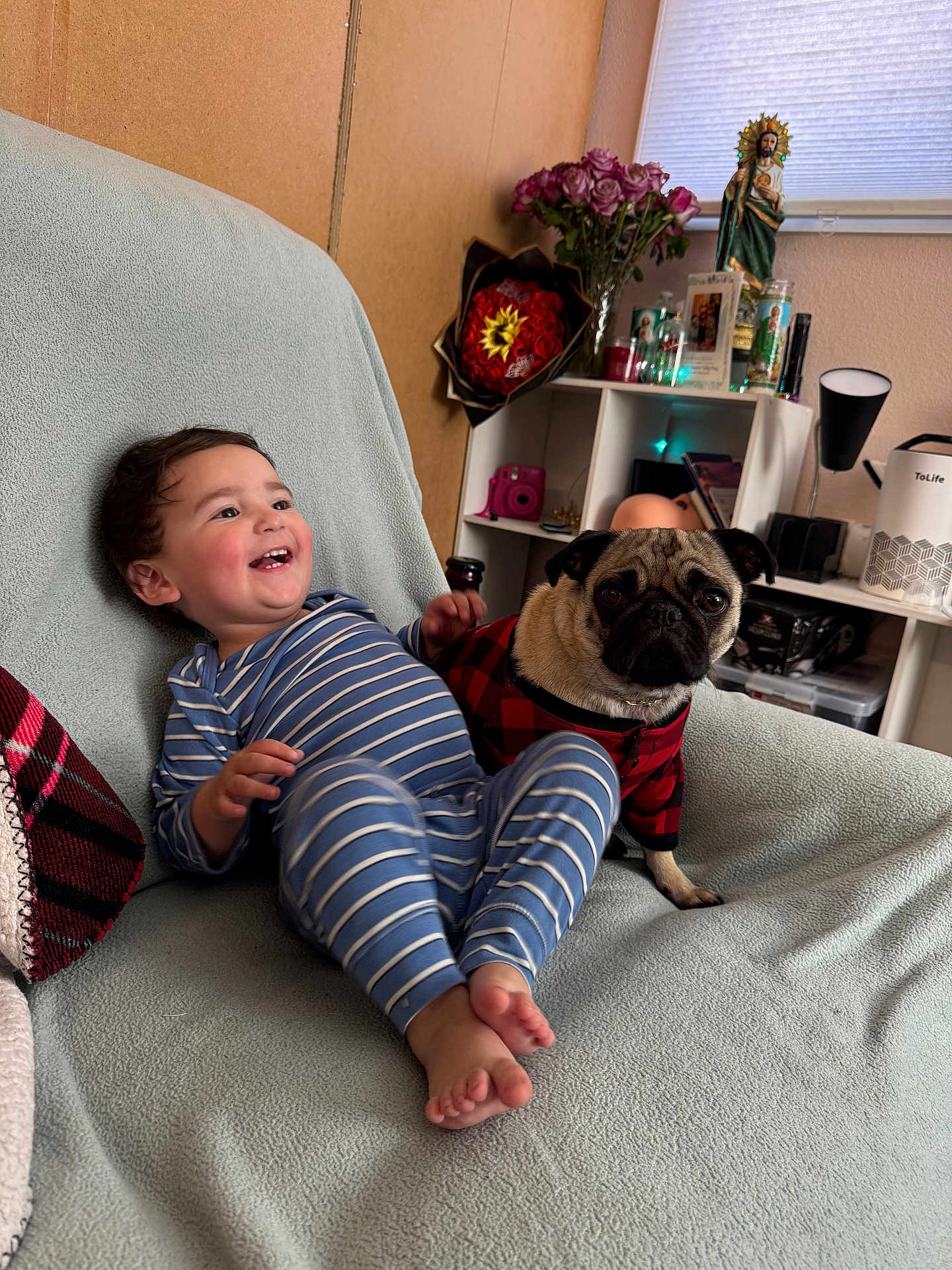 Erick joined the competition — help win amazing prizes! toddler, child, dog, pug, striped_pajamas, couch, blanket, pet_clothing, smiling, happy, indoor, home, flowers, statue, shelf, toy_camera, lamp, decor, relaxing, barefoot