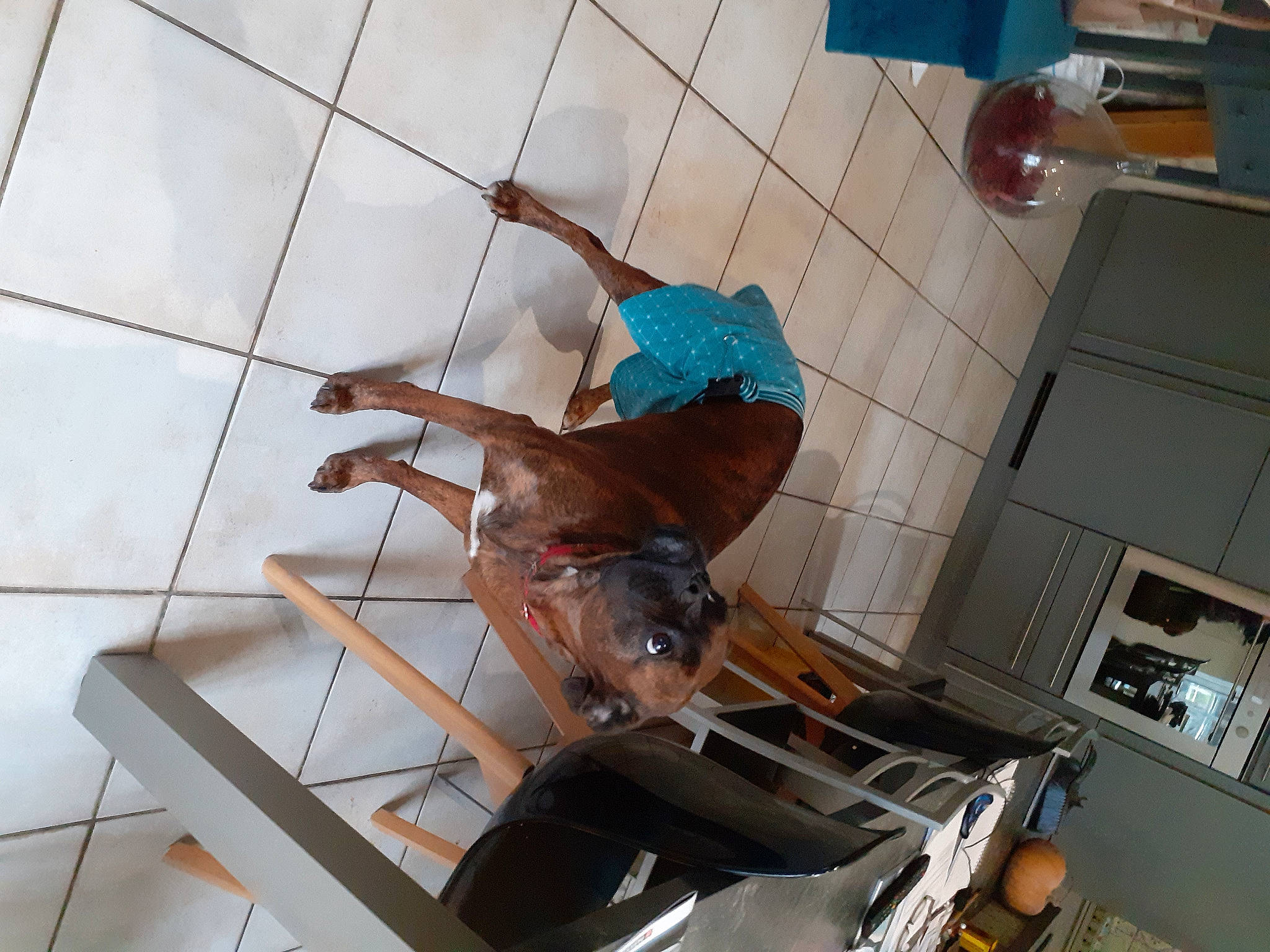 Nova participe au concours pour gagner de l'argent avec cette photo : balance, ceiling, chair, elbow, flooring, fun, human_leg, knee, machine, metal, room, thigh