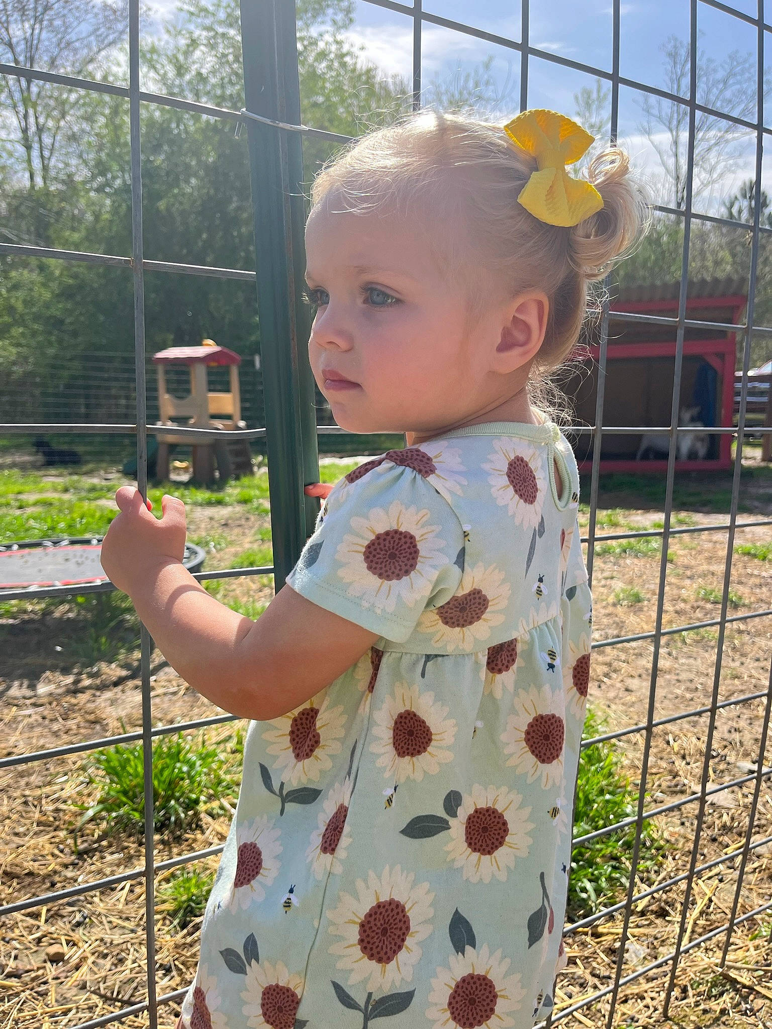 Raelee is registered to the contest to win money with this photo: baby, baby_toddler_clothing, child, fence, fun, grass, happy, leisure, pattern, people_in_nature, person, plant, public_space, recreation, sky, sleeve, standing, summer, t_shirt, toddler