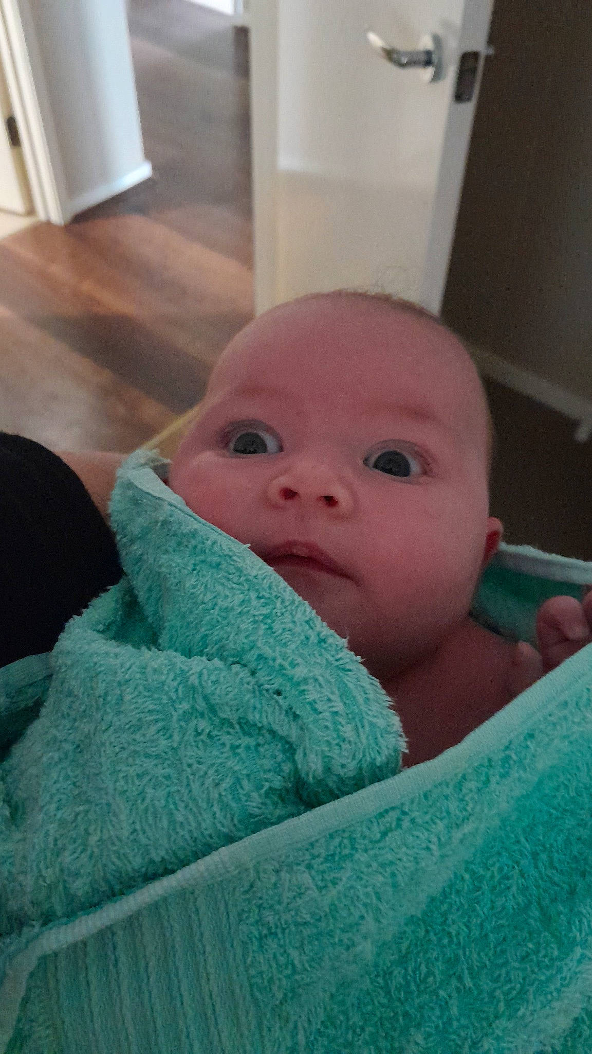 Olivia joined the competition — help win amazing prizes! baby, baby_toddler_clothing, cheek, child, comfort, eyebrow, face, finger, fur, head, iris, linens, nose, person, room, skin, toddler