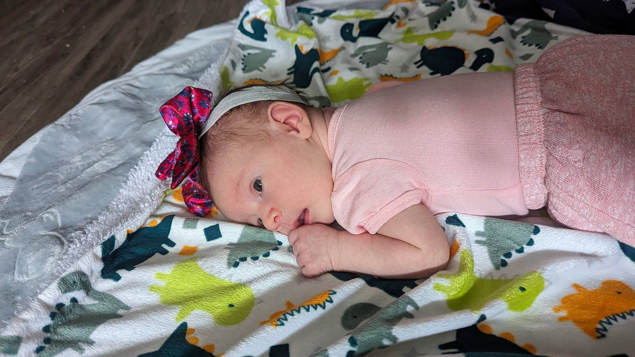 Aphrodite joined the competition — help win amazing prizes! baby, baby_carriage, baby_products, baby_safety, baby_sleeping, baby_toddler_clothing, baby_toys, bedtime, child, comfort, grass, infant_bed, linens, nap, pattern, person, room, sleep, toddler