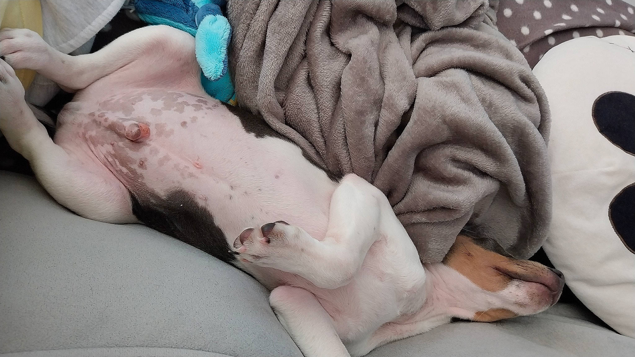 Bobby participe au concours pour gagner de l'argent avec cette photo : abdomen, barefoot, comfort, elbow, finger, foot, gesture, human_body, human_leg, joint, knee, leg, linens, mammal, nail, service, thigh, thumb, vertebrate, wrist