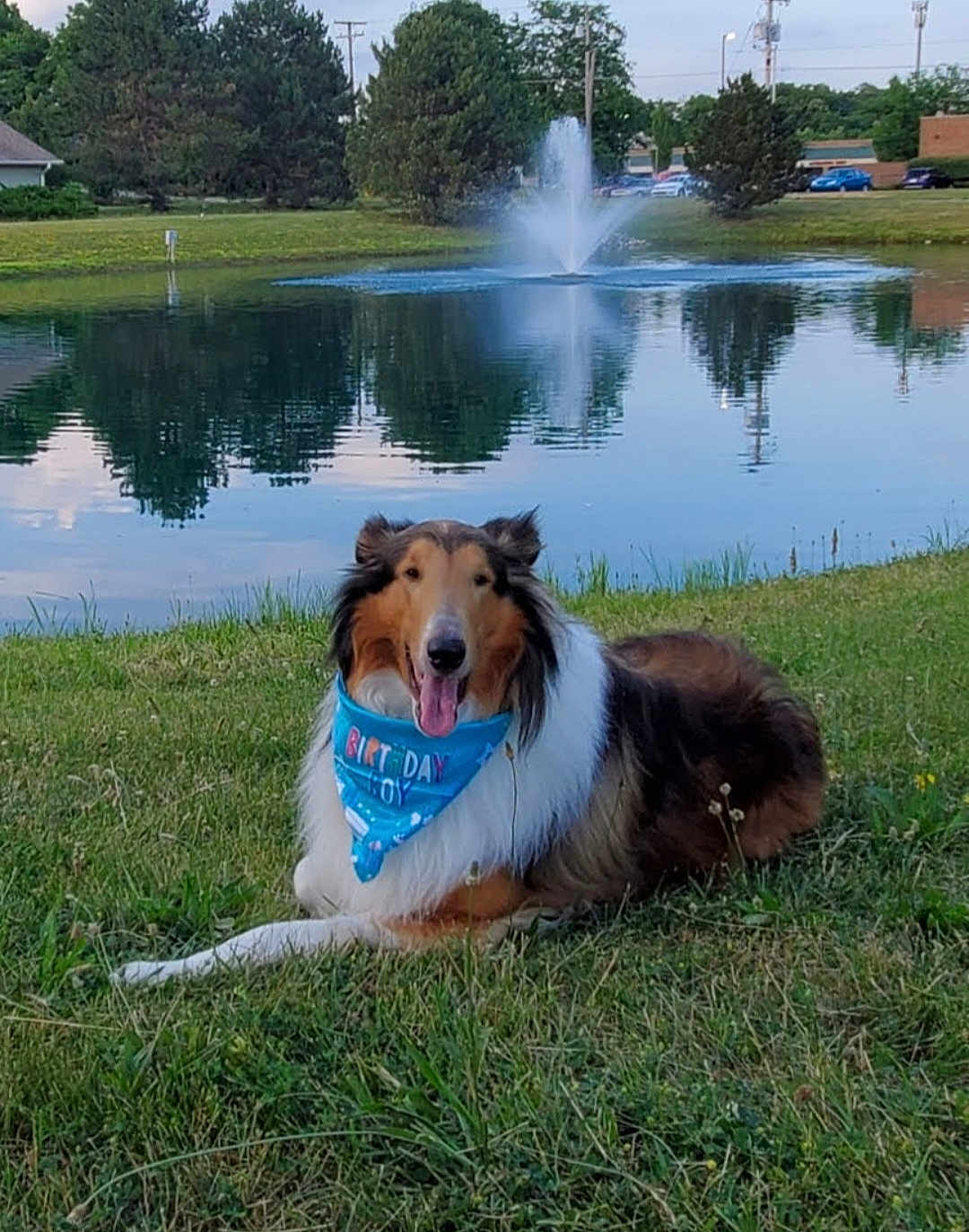 Riley Bear