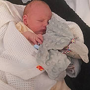 Reggie joined the competition — help win amazing prizes! newborn, baby, sleeping, blanket, plush_toy, soft_toy, cozy, infant, wrapped, pastel_colors, blue_socks, peaceful, indoor, resting, cute, tiny_hands, fabric_texture, comfort, head, face