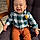 Lucas