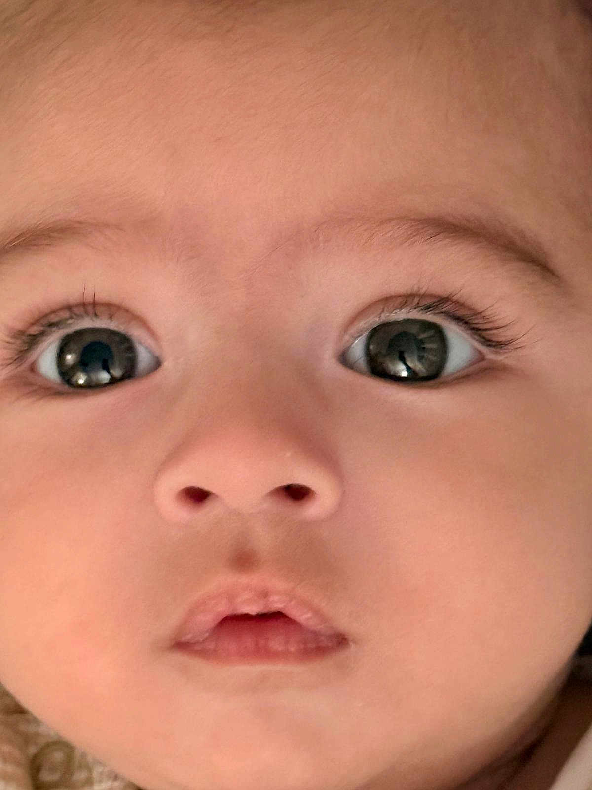Azil is registered to the contest to win money with this photo: baby, face, closeup, eyes, innocence, infant, skin, nostrils, mouth, eyelashes, expression, portrait, child, cute, young, human, soft, adorable, curious, babyface