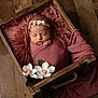 Everlee is registered to the contest to win money with this photo: baby, basket, bed, box, cradle, crate, crib, face, flower, flowerarrangement, flowerbouquet, furniture, hardwood, head, infantbed, newborn, person, plant, sleeping, wood