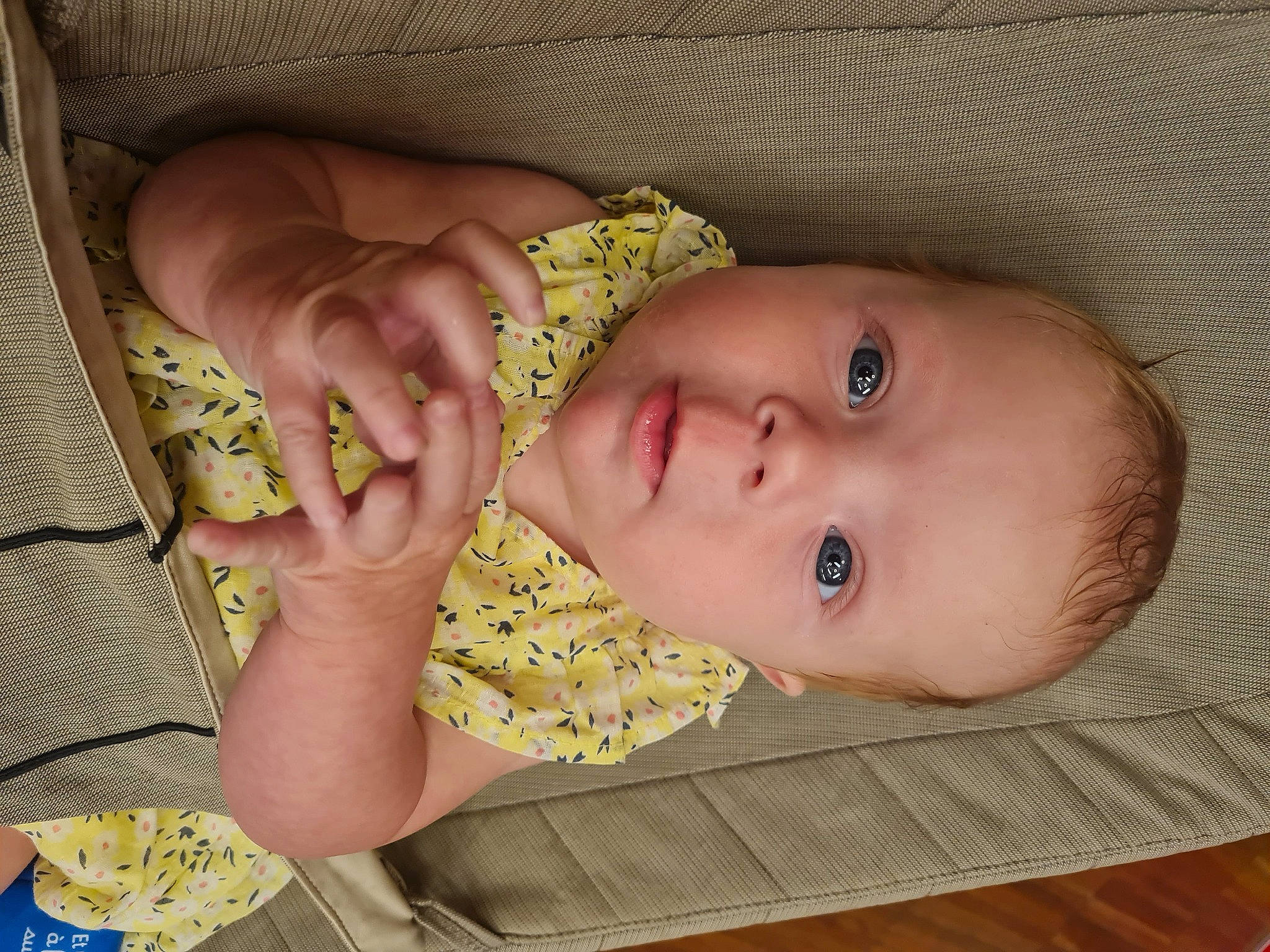 Lou participe au concours pour gagner de l'argent avec cette photo : baby, baby_toddler_clothing, cheek, chin, eye, eyebrow, eyelash, face, finger, head, human_body, iris, lip, mammal, mouth, neck, nose, person, product, skin