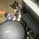 Toby