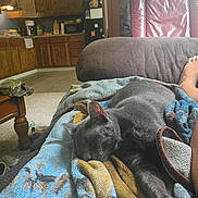 Molly Smoky Weaver is registered to the contest to win money with this photo: