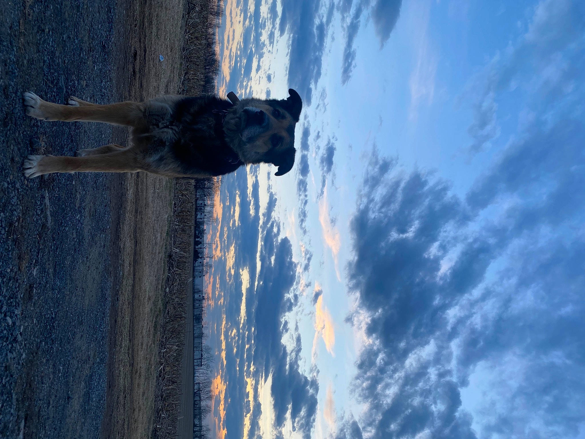 Geronimo joined the competition — help win amazing prizes! art, azure, beach, cloud, cumulus, electric_blue, freezing, meteorological_phenomenon, ocean, plant, reflection, rock, sculpture, shadow, sky, tree, water, wave, wind_wave, wood