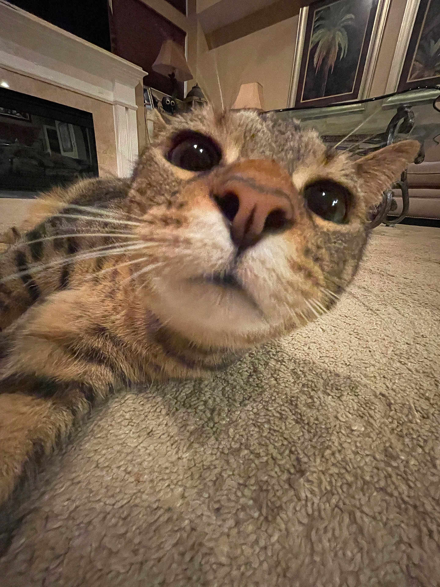Kiki