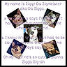 Ziggy is registered to the contest to win money with this photo: dog, collage, text_overlay, cute, pet, playful, smiling, resting, closeup, indoor, puppy, sleeping, funny, expression, face, canine, animal, portrait, white_background, colorful_text