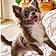 Maya