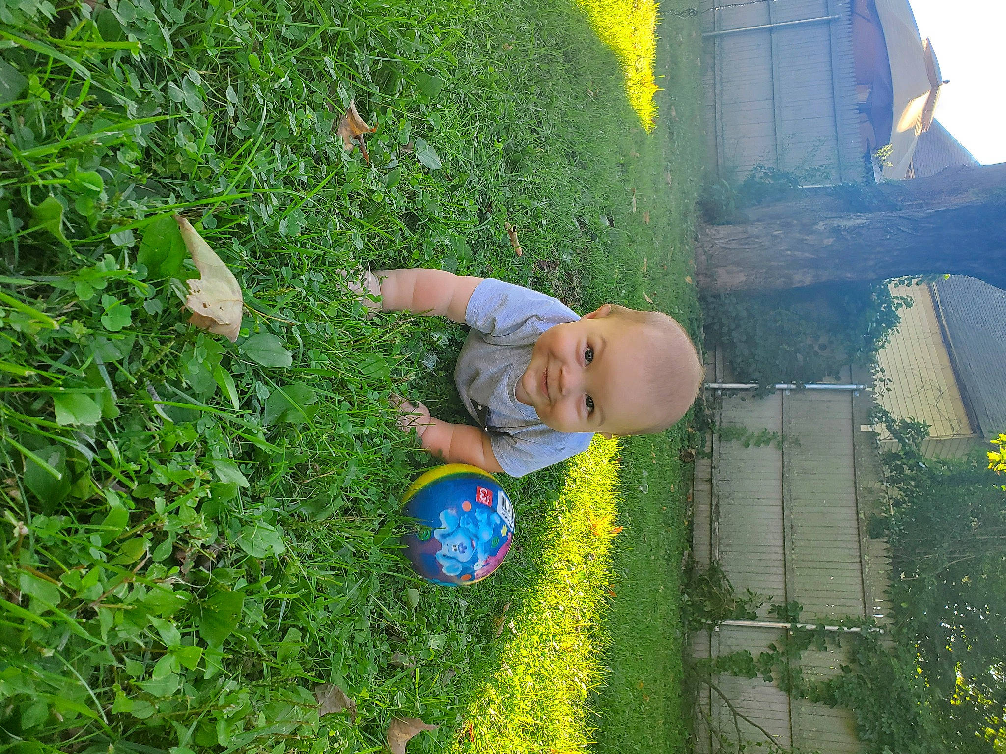 Nolan is registered to the contest to win money with this photo: baby, child, electric_blue, flooring, fun, grass, grass_family, grassland, groundcover, happy, joy, landscape, lawn, leisure, meadow, natural_environment, people_in_nature, person, plant, shrub