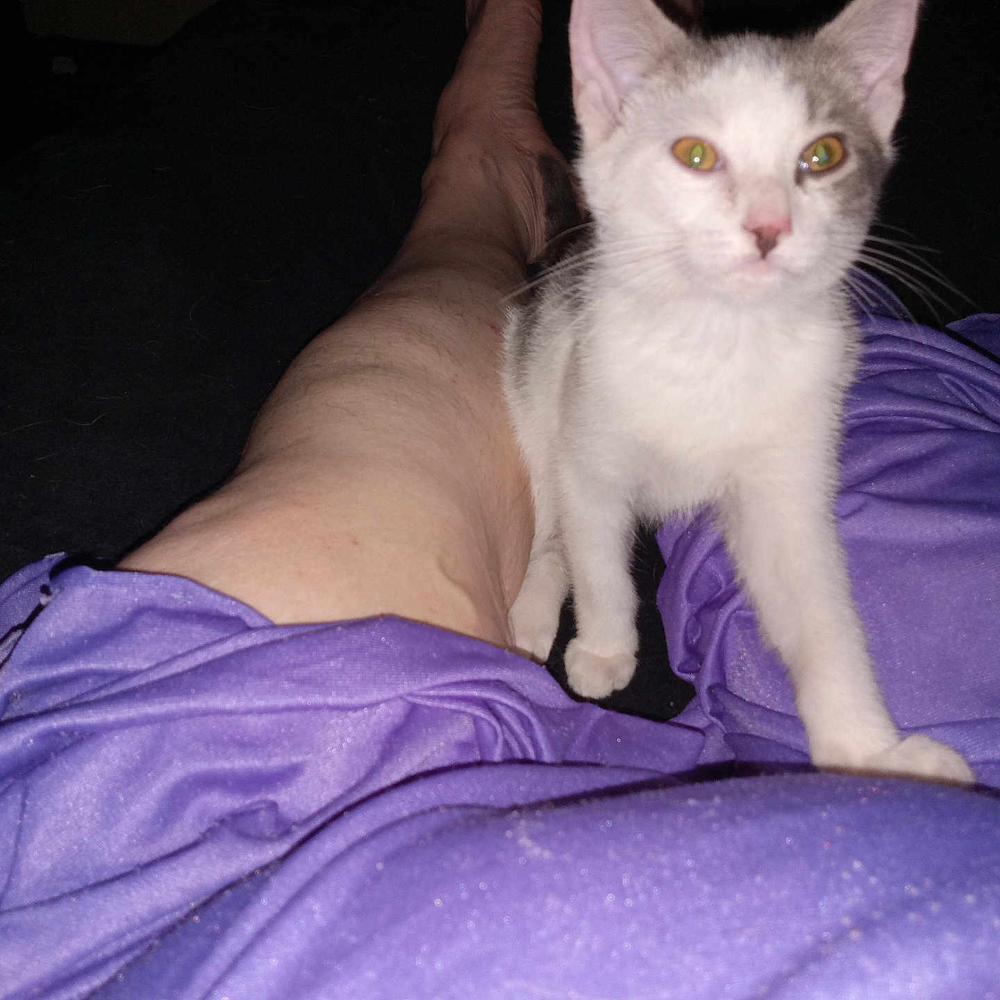 Lily Ann