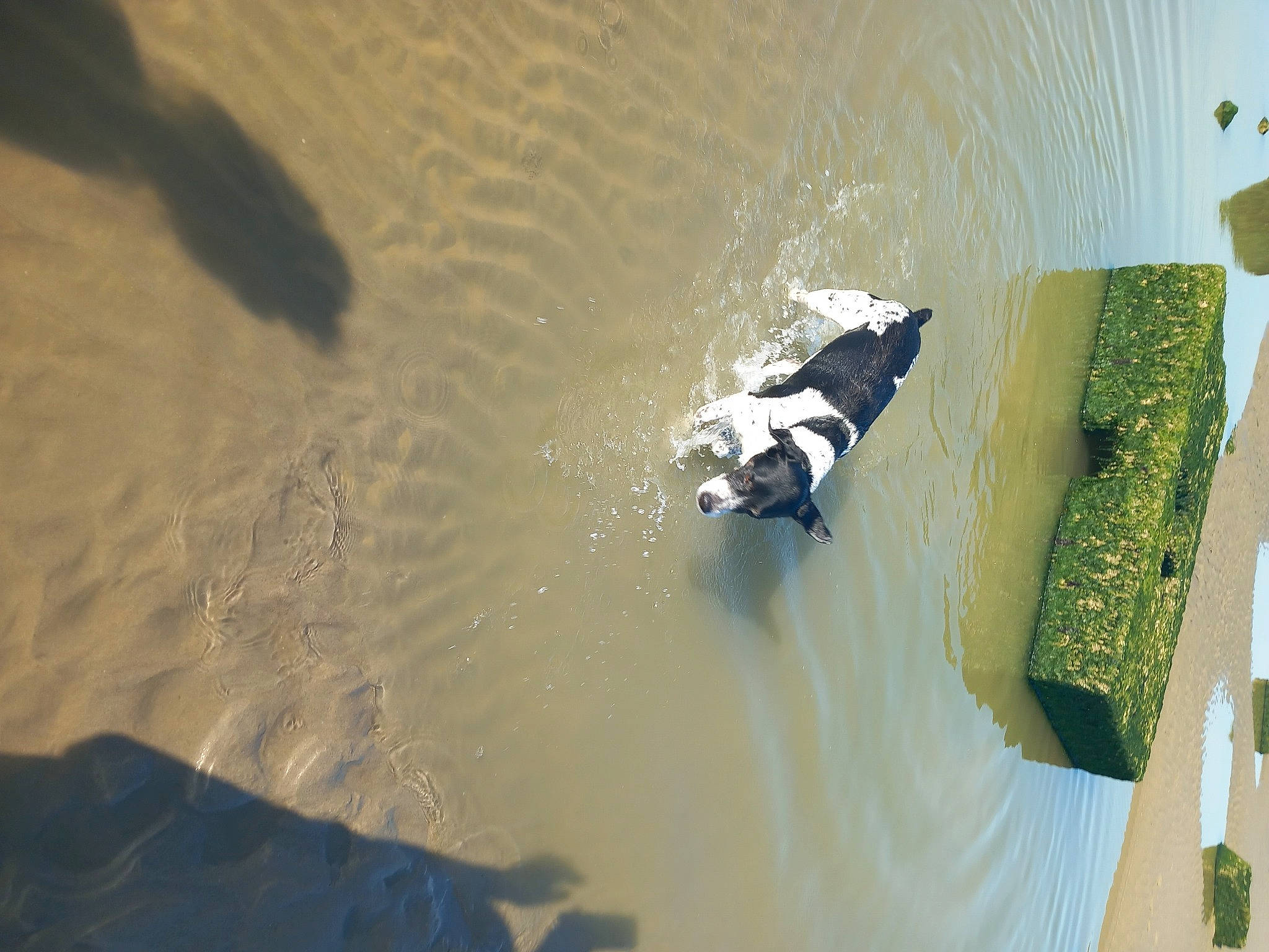Hugo participe au concours pour gagner de l'argent avec cette photo : fluid, lake, landscape, liquid, reflection, reservoir, shadow, singing_sand, slope, water, wood