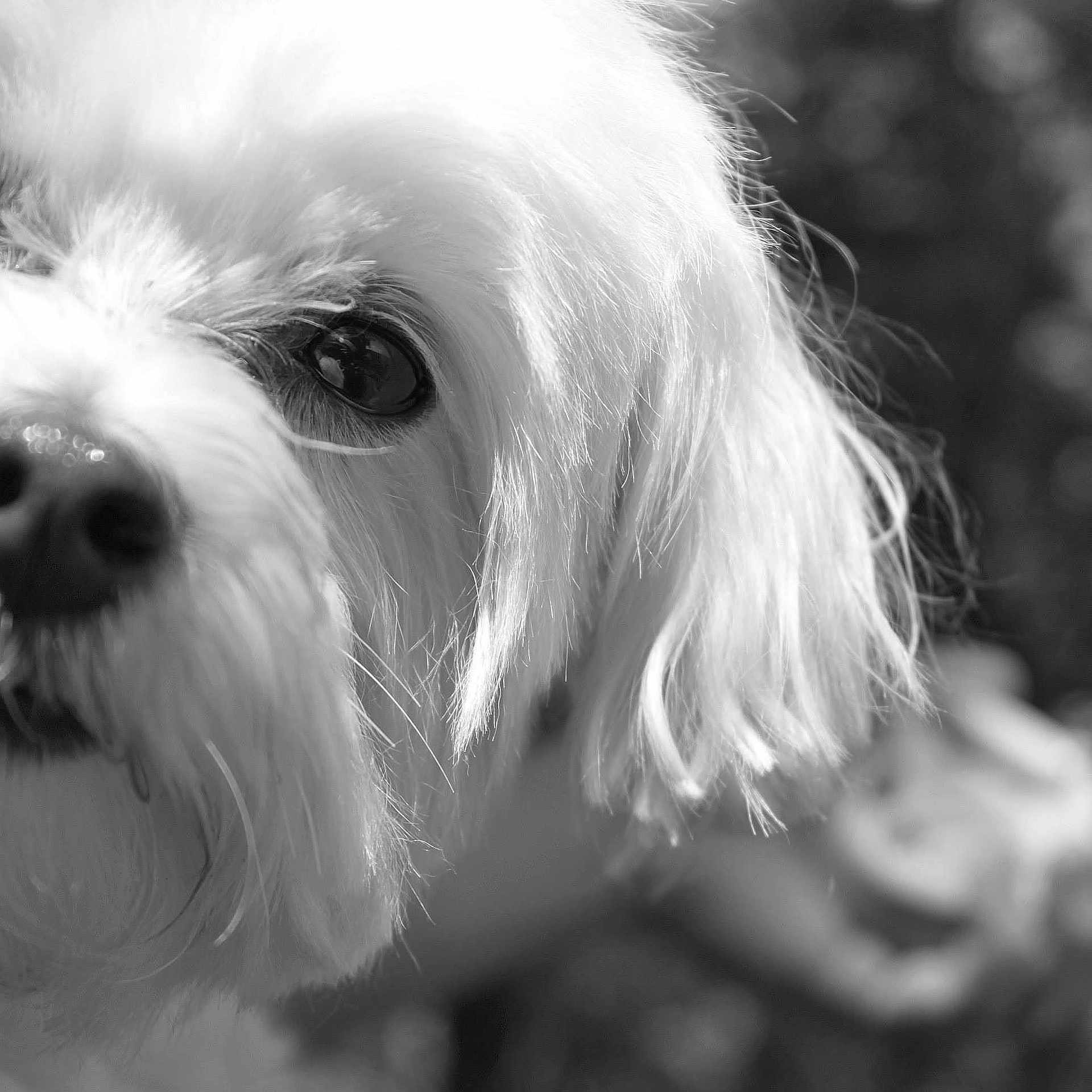 Shelly is registered to the contest to win money with this photo: