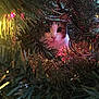 cat, christmas_tree, holiday_lights, tinsel, greenery, curious, festive, indoor, pet, animal, feline, decorations, closeup, nature, whiskers, cute, celebration, christmas, branches, eyes