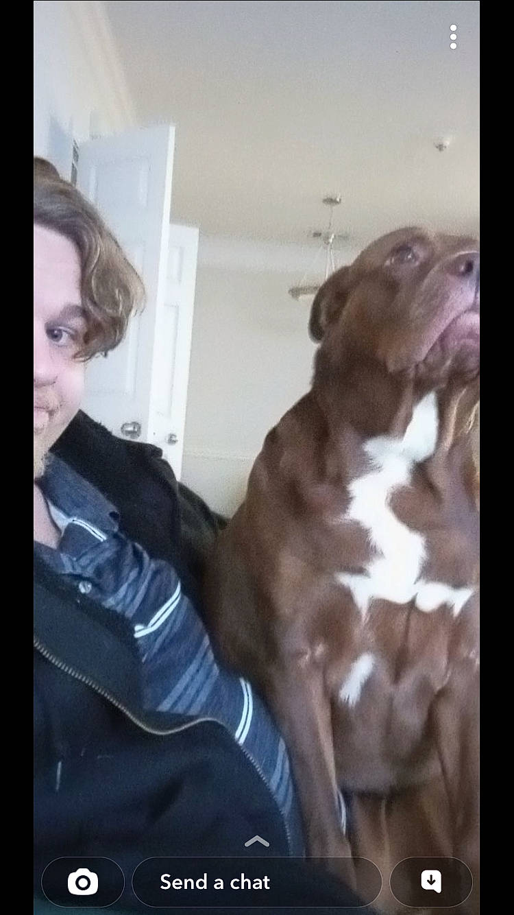 Babygirl is registered to the contest to win money with this photo: canidae, carnivore, comfort, companion_dog, dog, dog_breed, eyewear, fawn, fur, german_shorthaired_pointer, gesture, guard_dog, happy, hunting_dog, liver, pointing_breed, selfie, sporting_group, whiskers, working_animal