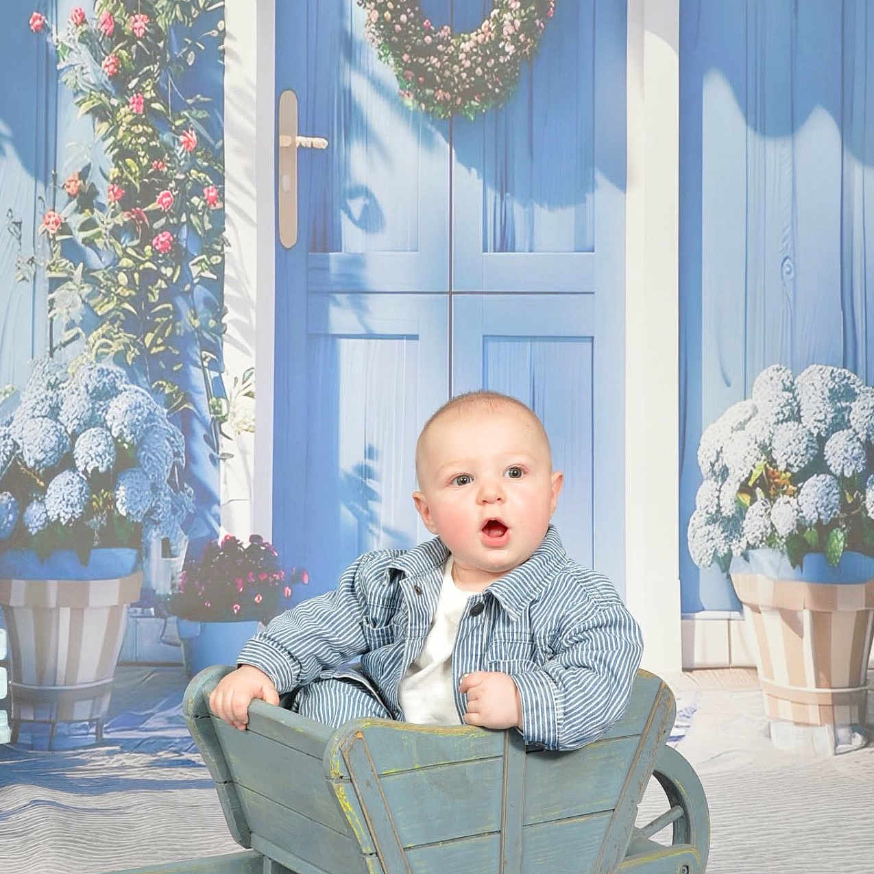 Brighton a rejoint le concours — aidez-le/la à gagner de superbes lots ! baby, child, wheelbarrow, blue_door, wreath, flowers, plants, striped_jacket, wooden, garden, cute, portrait, expression, outdoor, decor, potted_plants, greenery, door_handle, bright, seated