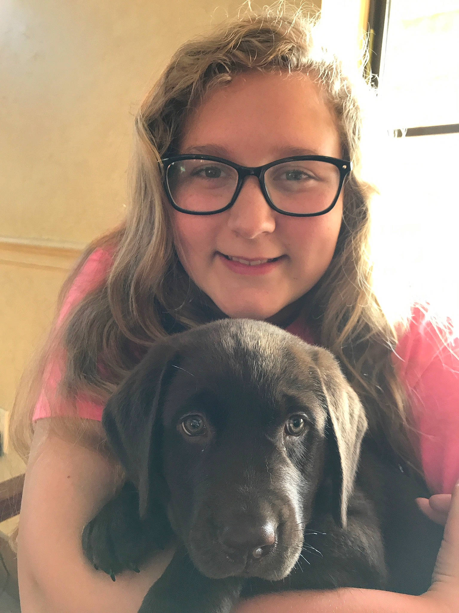 Beaux joined the competition — help win amazing prizes! beagador, canidae, carnivore, companion_dog, dog, dog_breed, ear, eye, fawn, labrador_retriever, nose, patterdale_terrier, photography, puppy, puppy_love, retriever, selfie, smile, snout, sporting_group