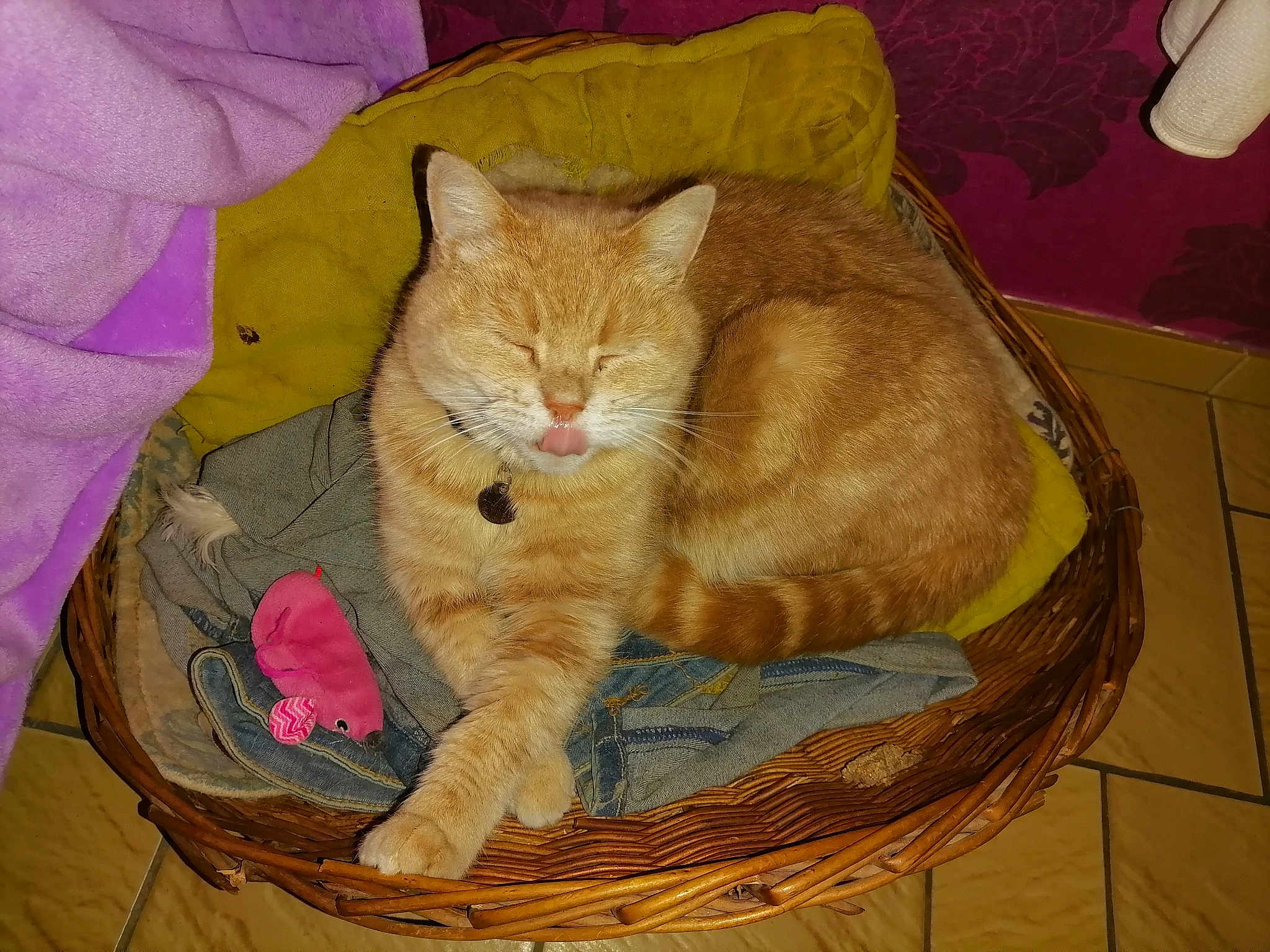 Doudou