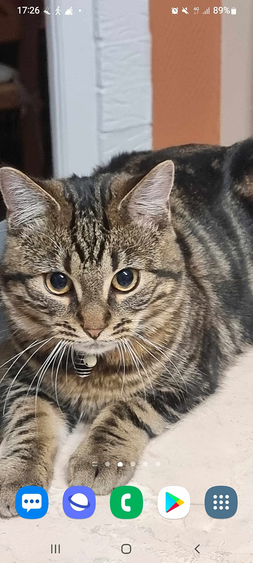 Samba