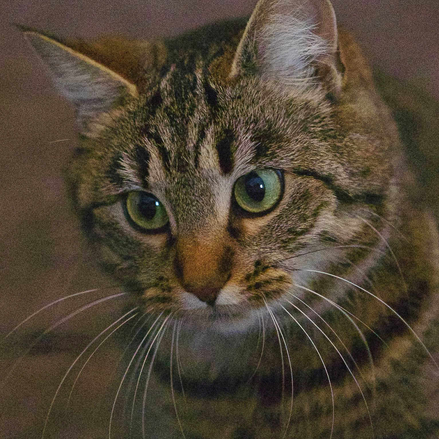 Tinx joined the competition — help win amazing prizes!