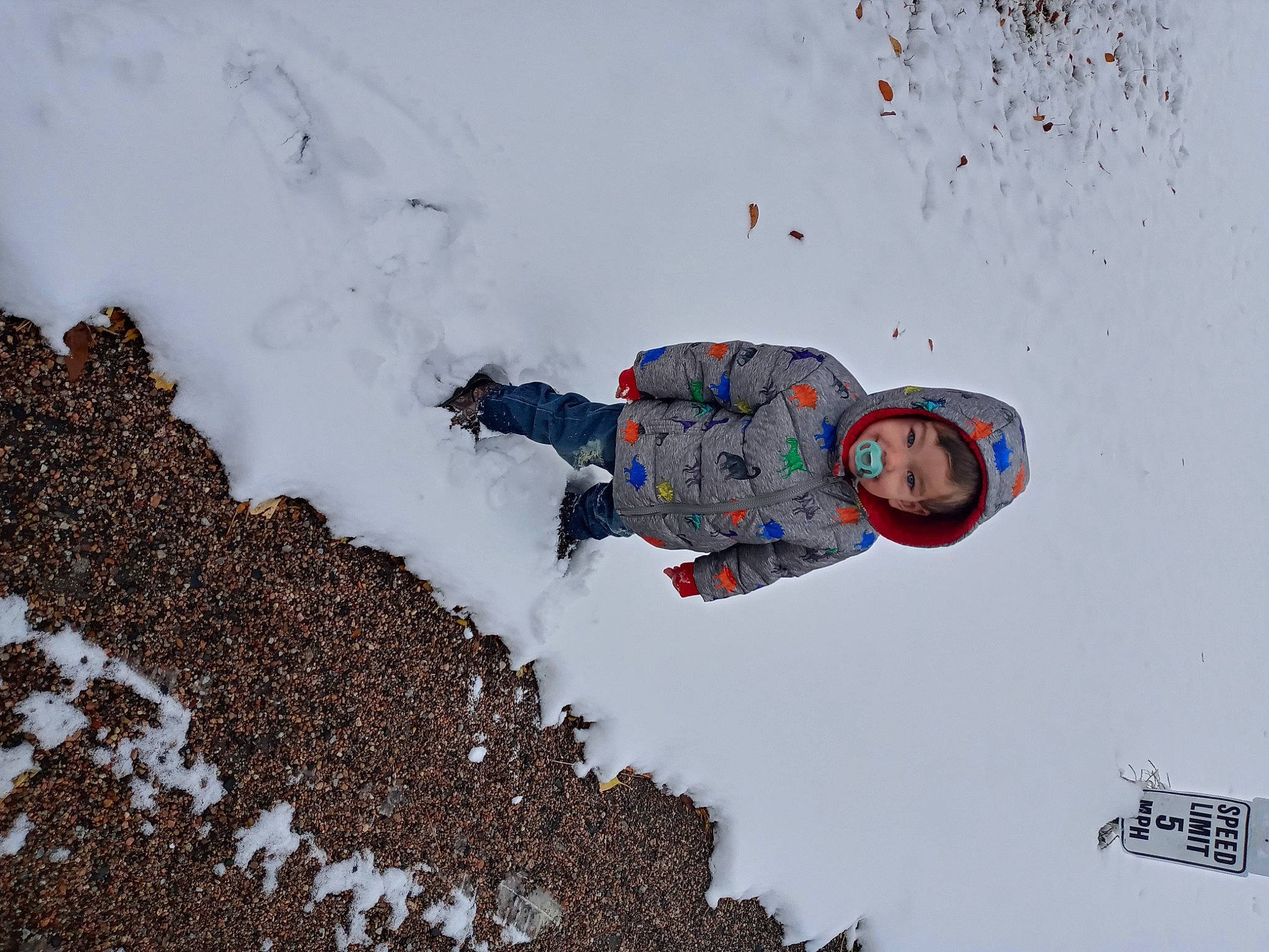 Davion joined the competition — help win amazing prizes! adventure, baby, freezing, frost, fun, geological_phenomenon, ice_cap, landscape, leisure, people_in_nature, person, play, playing_in_the_snow, precipitation, recreation, sled, slope, snow, soil, toddler