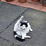 animal, black_and_white, cat, cute, domestic_animal, fur, greenery, grooming, nature, outdoor, patio, pet, potted_plants, quiet, raised_leg, relaxing, sunlight, tail, tile_floor, whiskers