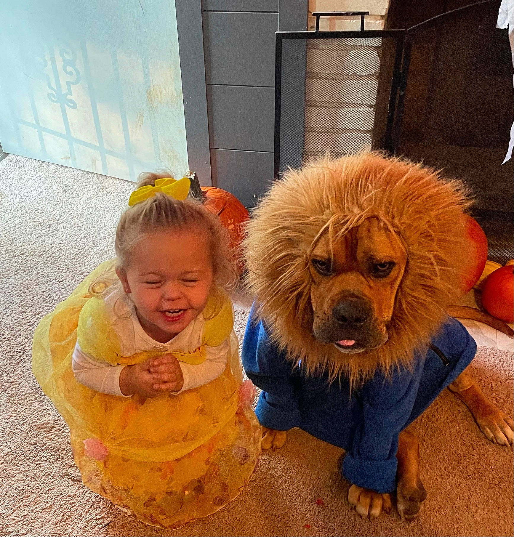 Presleigh joined the competition — help win amazing prizes! baby, baby_toddler_clothing, canidae, carnivore, child, companion_dog, dog, dog_breed, dog_clothes, flooring, fun, fur, happy, orange, person, smile, spaniel, sporting_group, toddler, toy_dog