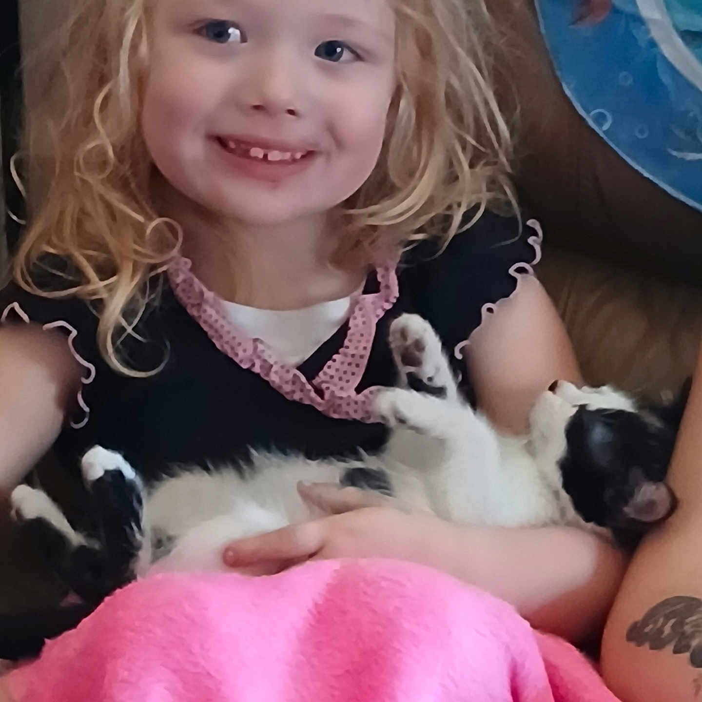 Brooklyn joined the competition — help win amazing prizes! accessories, animal, canine, child, couch, dog, face, female, furniture, girl, happy, head, jewelry, necklace, person, pet, photography, portrait, puppy, smile