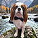 Oliver