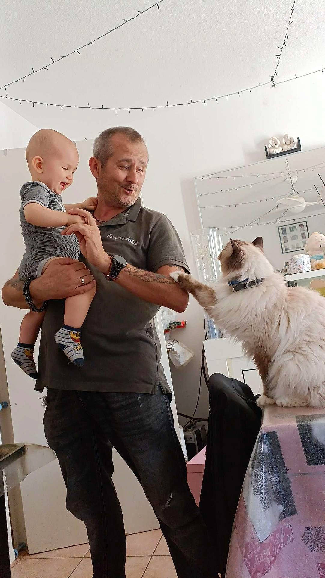 Gribouille participe au concours pour gagner de l'argent avec cette photo : animal, baby, canine, cat, clothing, face, head, hosiery, indoors, jeans, pants, people, person, pet, photography, plant, portrait, pottedplant, sock, t_shirt