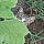 Omg