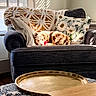 Ziggy is registered to the contest to win money with this photo: dog, couch, pillows, blanket, window, sunlight, shadow, living_room, tray, ottoman, table, wood, pattern, fluffy, relaxing, indoor, cozy, decor, home, pet